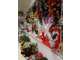 Vente boutique fleuriste à Tarascon-sur-Ariège