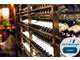 Vente cave à vins excellente notoriété à Toulon