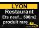 AV Superbe établissement sur secteur prisé de Lyon