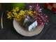 AV fromagerie pleine nature avec terrain de 6 ha