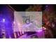 A vendre grande salle de reception atypique Gard