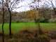 Vente chambre d'hôte avec grand terrain - Landes