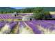 Vente hôtel de charme *** en Drôme Provençale