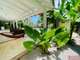 AV maison d'hôtes 950m² + piscine à La Terrenas