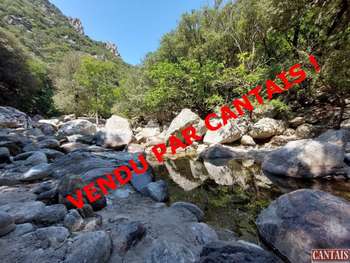 Vente gîte à 700m d'altitude Languedoc Roussillon