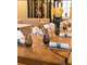 Vente restaurant cuisine ouverte secteur Lyon