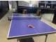 Vente salle de sport et loisir murs et fonds 44