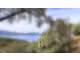 AV Camping 4 **** 5ha prox plage Corse du Sud