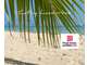 Vente domaine touristique 30 couchages Deshaies