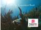 Vente domaine touristique 30 couchages Deshaies