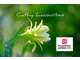 Vente domaine touristique 30 couchages Deshaies