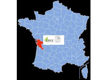 Vente FDC carrelages et sanitaires à Essouvert