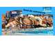 Vente poissonnerie aux Sables-d'Olonne