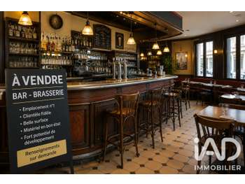 Vente brasserie de quartier licence IV à Nice