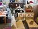 FDC décoration à vendre secteur Tasin la Demi Lune