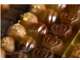 Vente chocolaterie artisanale vallée de la Drôme