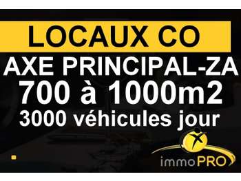 Vend locaux co de 1066m² axe majeur Villefranche