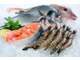 Vente poissonnerie en magasin et sur marchés 13
