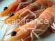 A vendre poissonnerie exceptionnelle à Royan