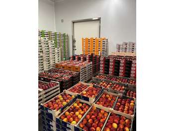 Acteur historique vente de fruits à reprendre