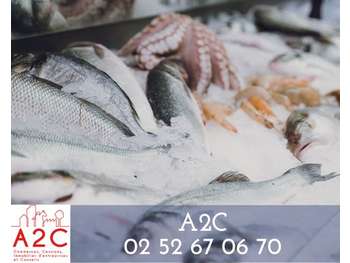 AV banc de poissonnerie sur marchés aux Sables