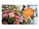 Vente magasin de fleurs à l'Est d'Angers