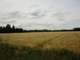 Terrain de 3 ha à vendre à Mareuil sur Ourcq