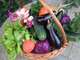 Vente primeur bio dans les Alpes-Maritimes
