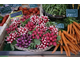 Vente FDC primeur Bas Val de Marne proche Paris