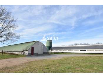 Vente propriété d'élevage avicole avec maison 03