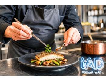Vente restaurant emplacement stratégique à Agde