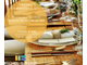 Vente restaurant du midi empl premium en Aude