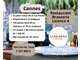 Vente restaurant brasserie licence 4 à Cannes