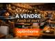 À vendre restaurant pizzeria à Decines Charpieu
