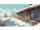 Vente restaurant d'altitude sur domaine skiable 74