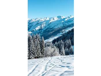 AV restaurant emplacement exceptionnel à la Clusaz