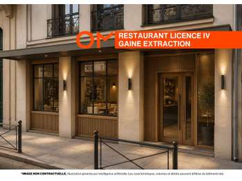 Vente restaurant licence IV extraction Lyon 69002