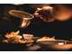 Vente restaurant traditionnel coeur 69006