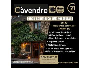 Vente bar restaurant avec terrasse Côte d'Or (21)