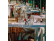 AV restaurant emblématique licence 4 à Paris