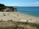 Vente restaurant grillades lic IV à Piriac sur Mer