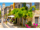 Vente restaurant + murs 500m² prox St Remy de Pce