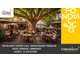 Cession restaurant incontournable à Valence centre