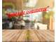 Vente sandwicherie en centre port le Cap d'Agde