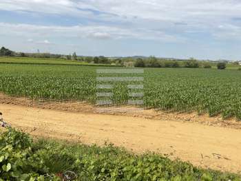 AV société de production de semences en Hérault