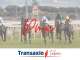 A vendre FDC tabac presse FDJ PMU proche St Avold