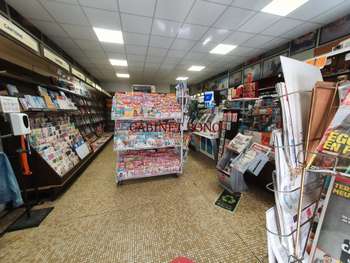 Vente civette dans le secteur de Laon