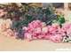 Vente magasin de fleurs dans la Sarthe