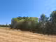 A vendre 3 parcelles de 8828m² à Roybon (38940)