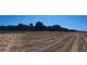 A vendre 3 parcelles de 8828m² à Roybon (38940)